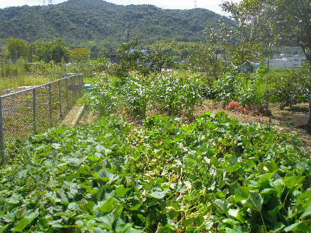 CIMG0697