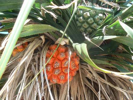 P1280731