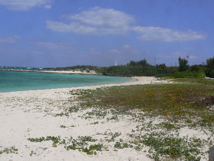 P1310561