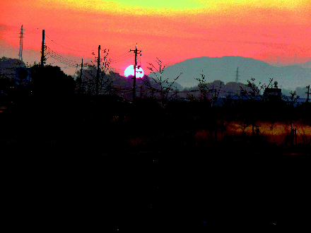 P1000069