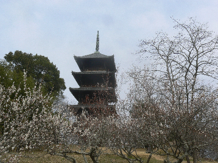 P1310474