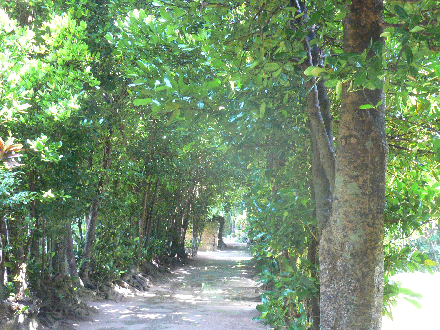 P1300420