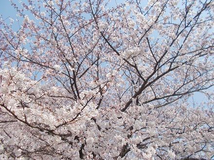 DSCN0940