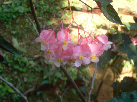P1310603