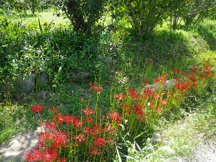 IMGP2663