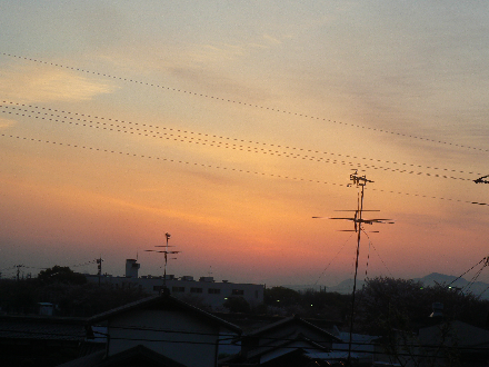 P1290641