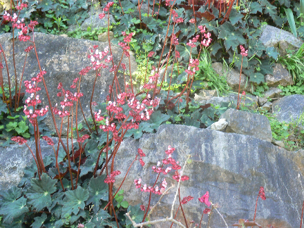 P1310592
