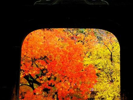 IMGP0227