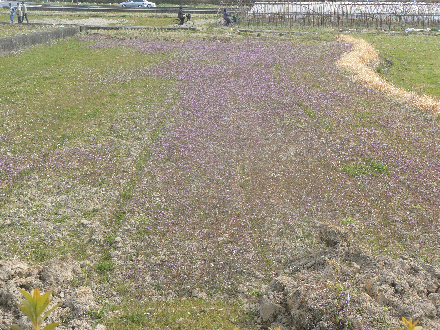 P1310479