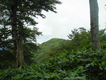 CIMG0562