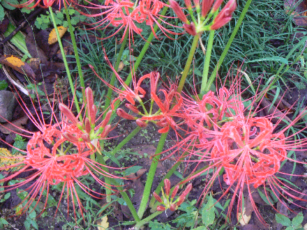 P1300471
