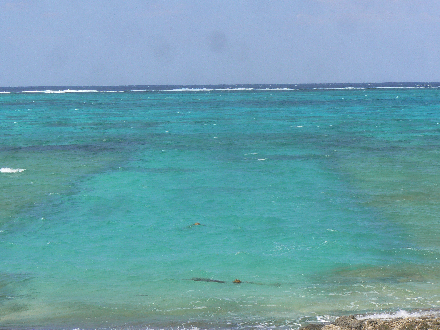 P1310563