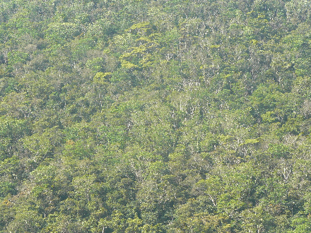 P1310624