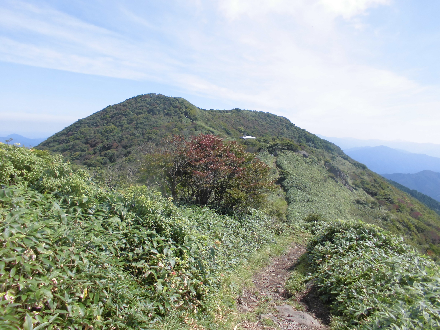 CIMG0647