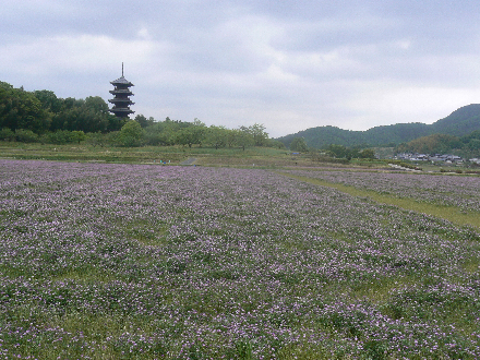 P1310712