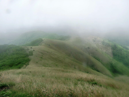 P1020382