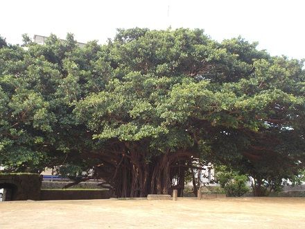 DSCN1025