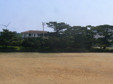 P1310646