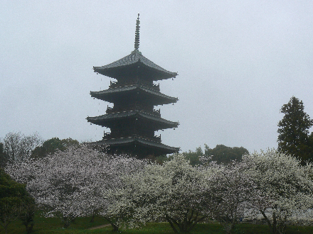 P1310673