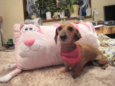 pinkchan