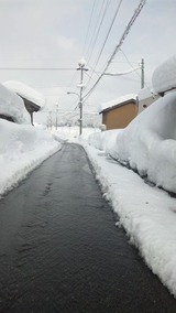 SH3I0012