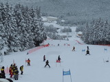 DSCN0798