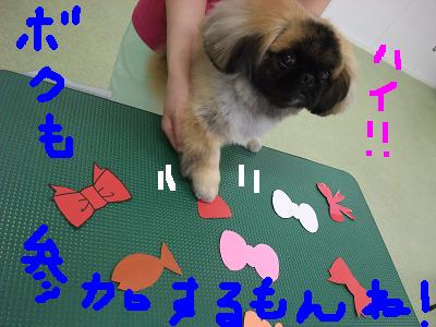 DSCF2152