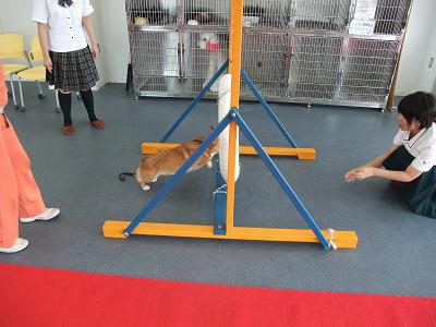 DSCF2011