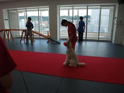 DSCF1962