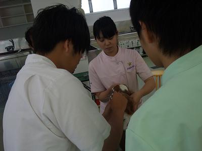 DSCF1994