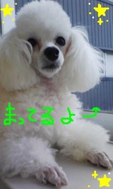 ニーナ