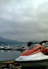d3d585f8.jpg