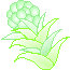 hukinotou