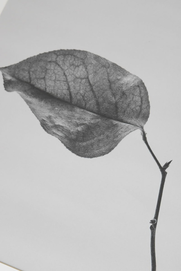 DSC_0190