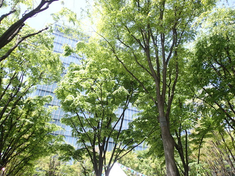 P5020748