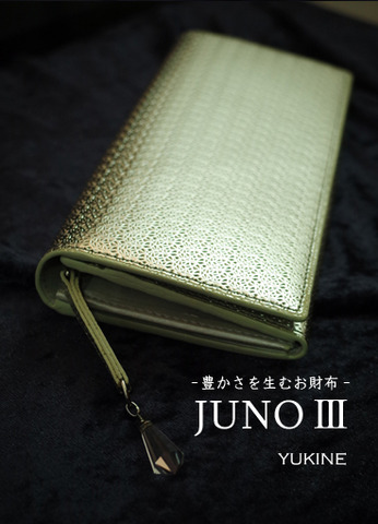 JUNOba2¡¡¥í¥´Æþ