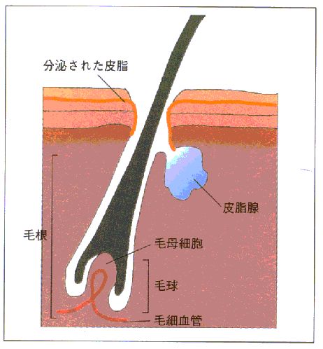 kaminokouzou2