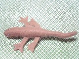 cbbe3158.jpg