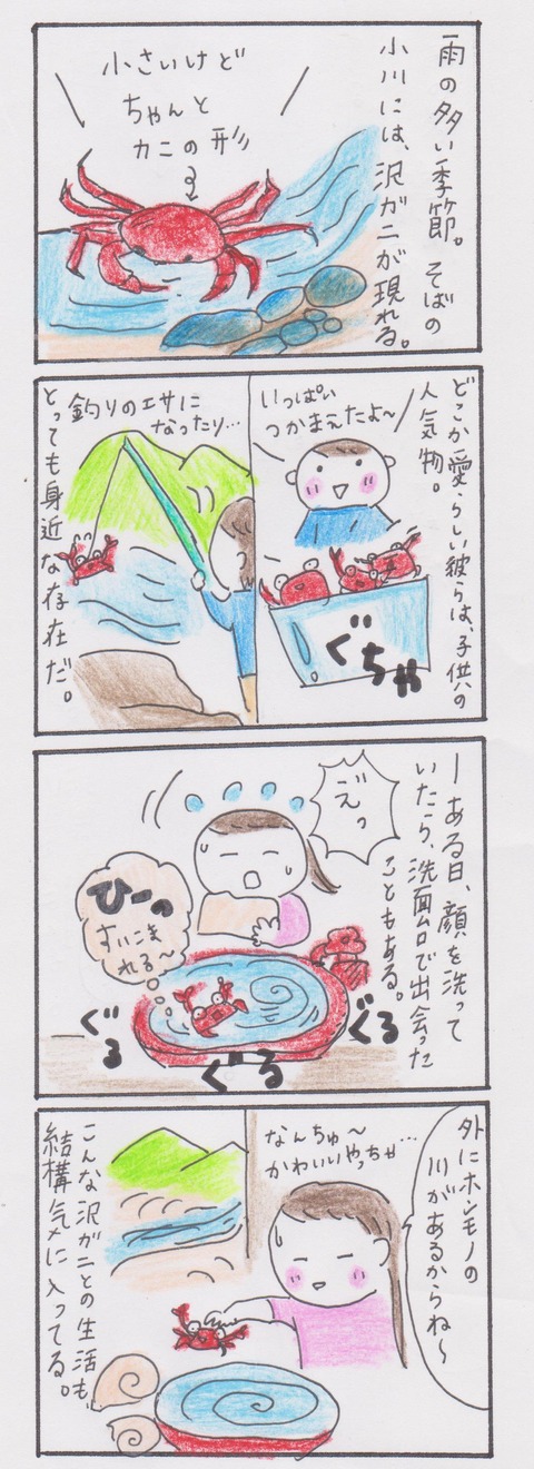 005