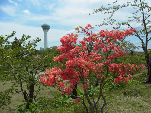 83f3ef26.jpg