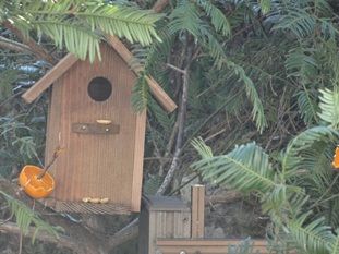巣箱のペイント 木工イベントで作成