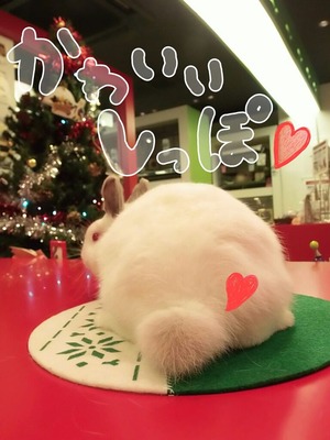 CYMERA_20141125_100226