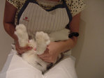 10-2h-2