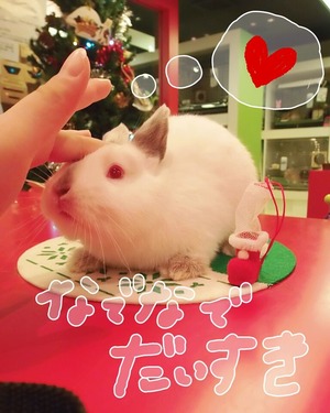 CYMERA_20141125_104628