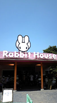 rabb