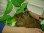 blog040603