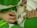 blog040602