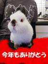 BlogPaint
