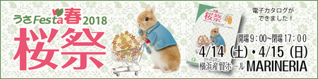 usafes2018springbunner-1