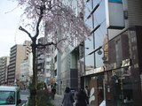 379f1a3c.jpg